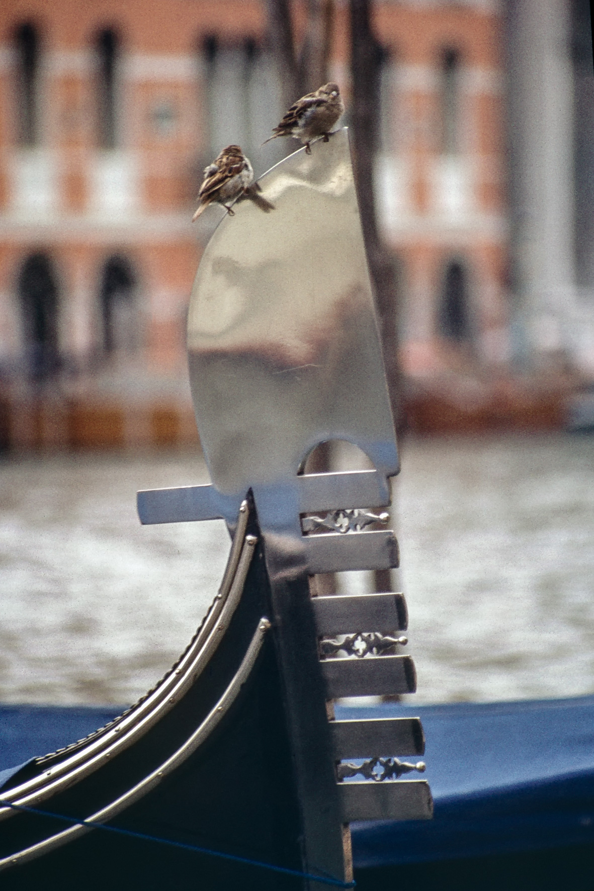 Venedig 1984